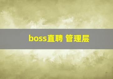 boss直聘 管理层